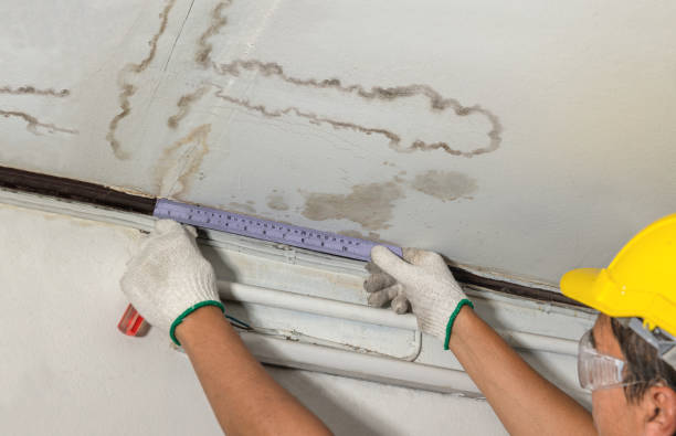 Reliable Water Damage Repair contractor in Napoleon, OH by Hirex Water Damage